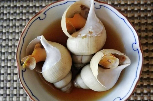 ばいの煮もの(ばいのにもの)