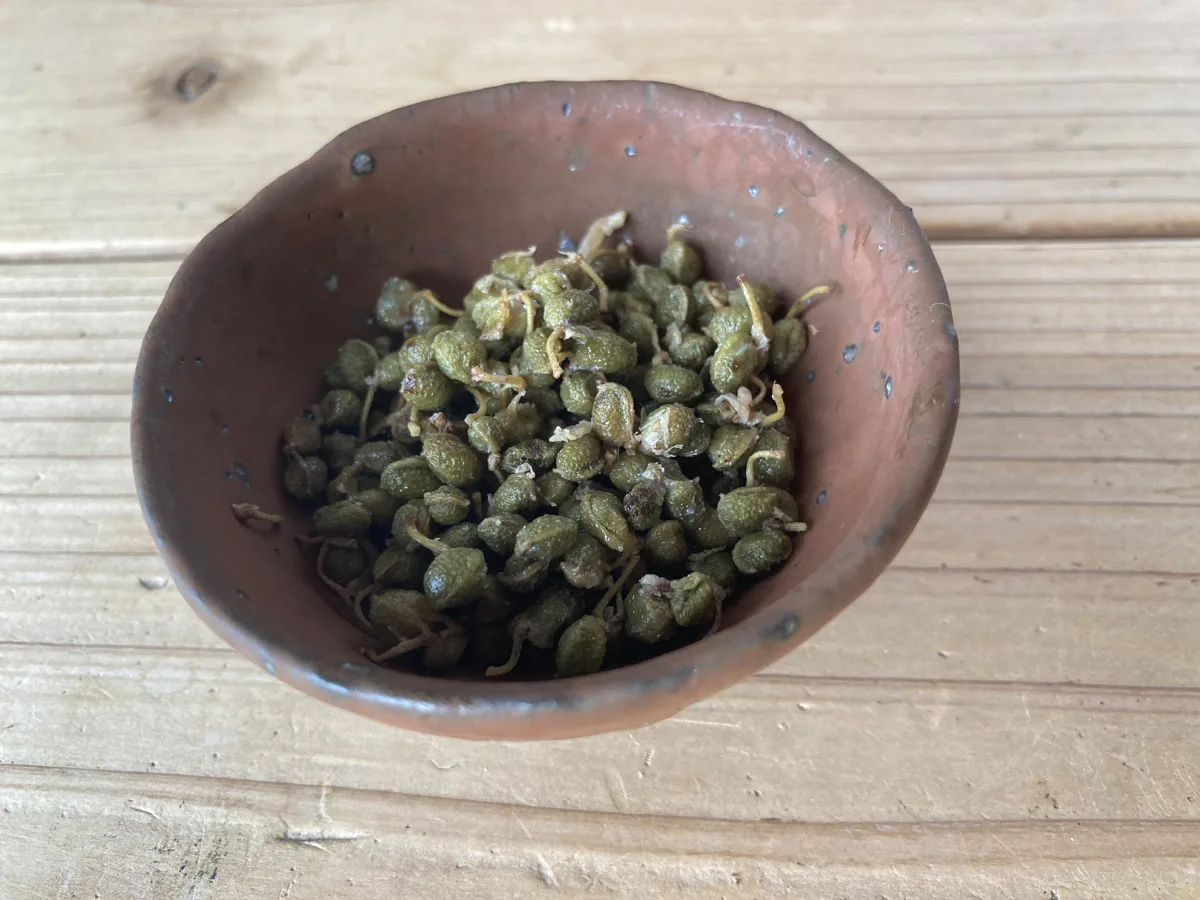 山椒の佃煮(さんしょうのつくだに)